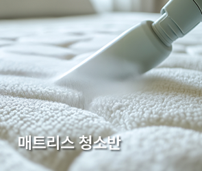 매트리스 청소반
